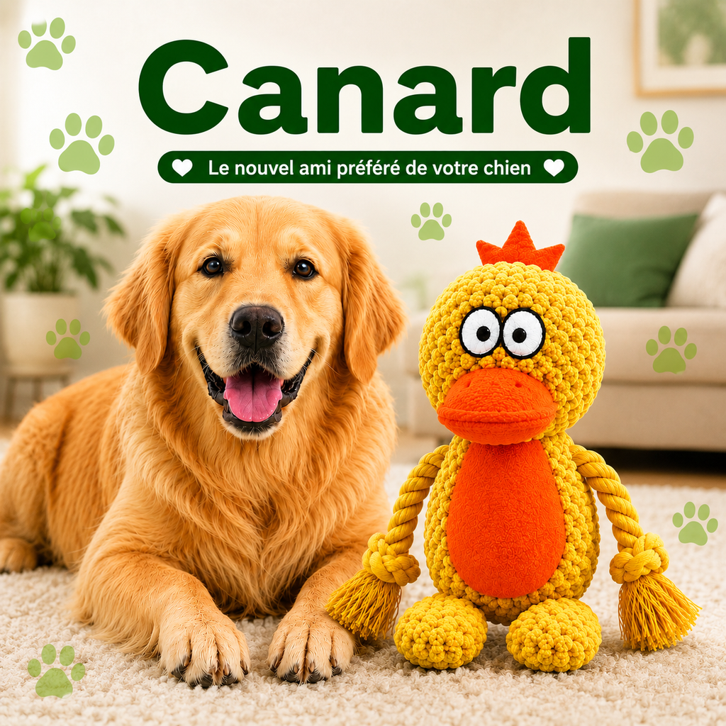 Dogizy™ – Jouet indestructible en corde pour chien