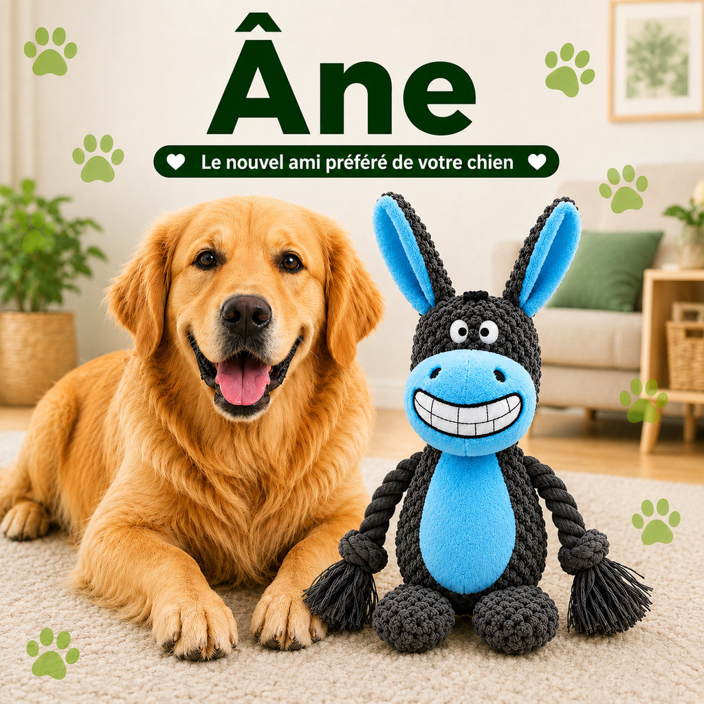 Dogizy™ – Jouet indestructible en corde pour chien