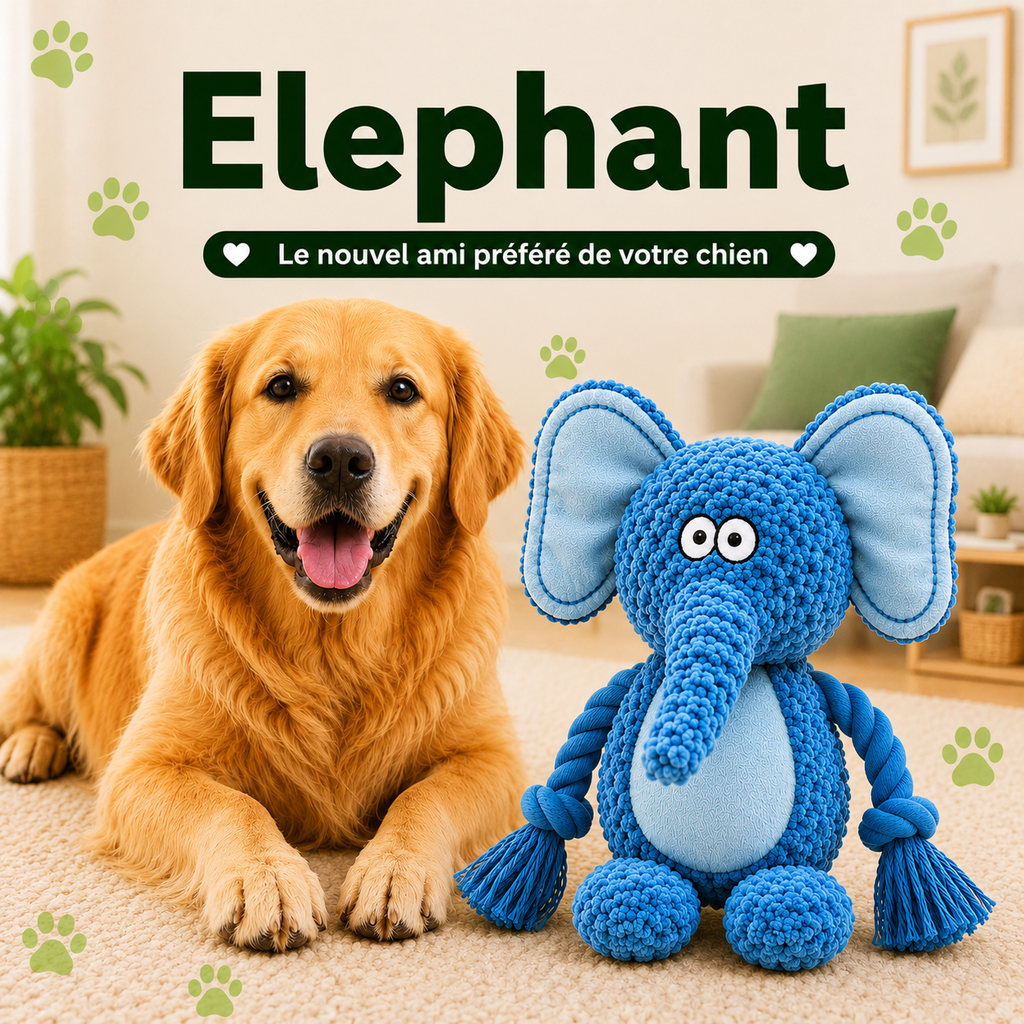 Dogizy™ – Jouet indestructible en corde pour chien